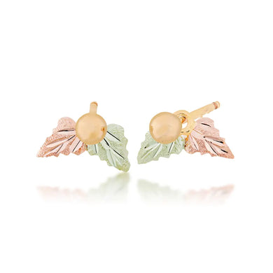 Traditional Foliage Post - Black Hills Gold Earrings