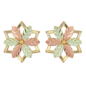 Hexagonal Black Hills Gold Earrings - Jewelry