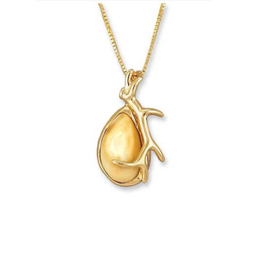Wind River Elk Ivory Gold Pendant - Jewelry