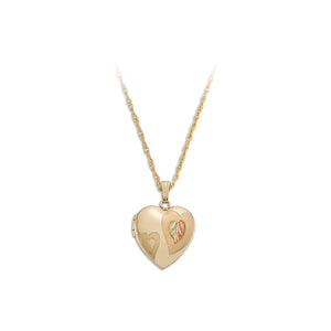 Pretty Heart Black Hills Gold Locket & Necklace