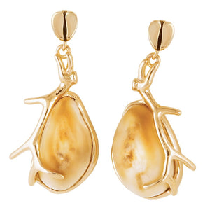 Wind River Elk Ivory Gold Earrings